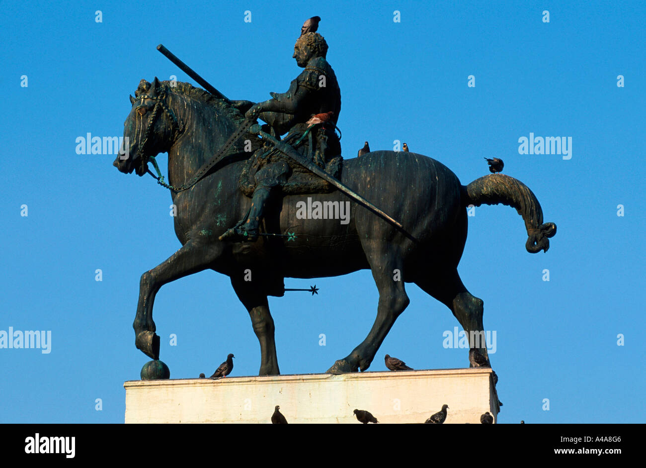 Equestrian statue / Padua Stock Photo