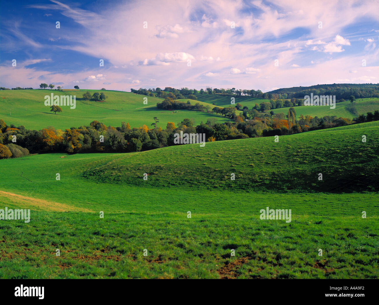 Landscape in Surrey, England Stock Photo