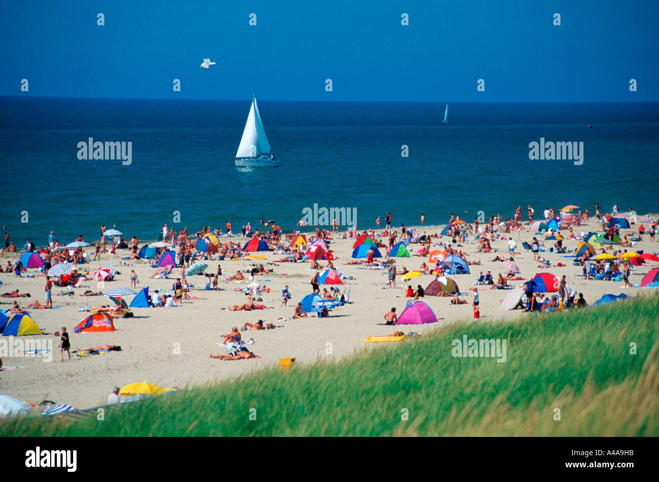 Vacationists at beach / Egmont Stock Photo