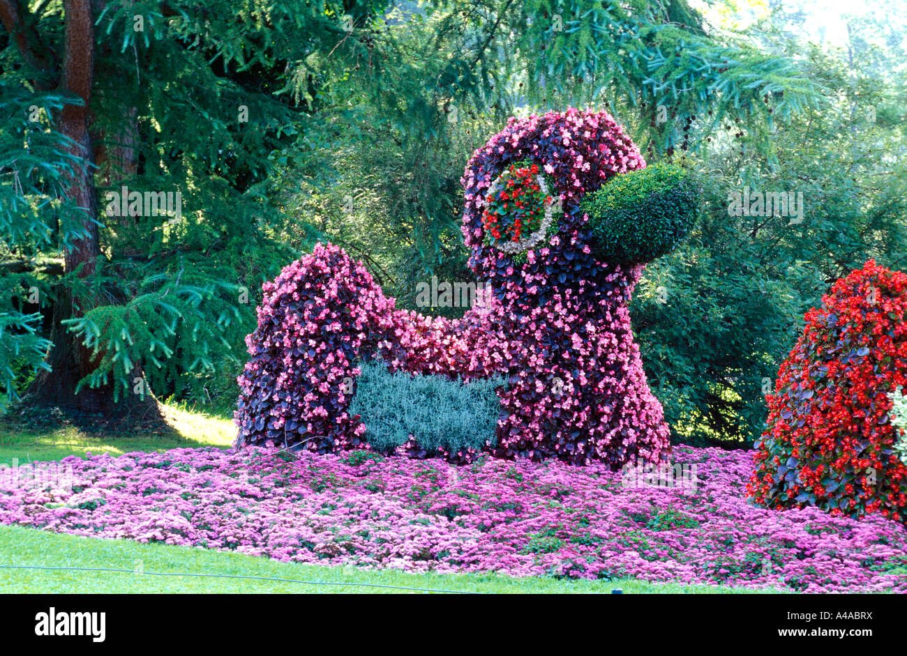 Topiary art Mainau Island Germany Europe Stock Photo