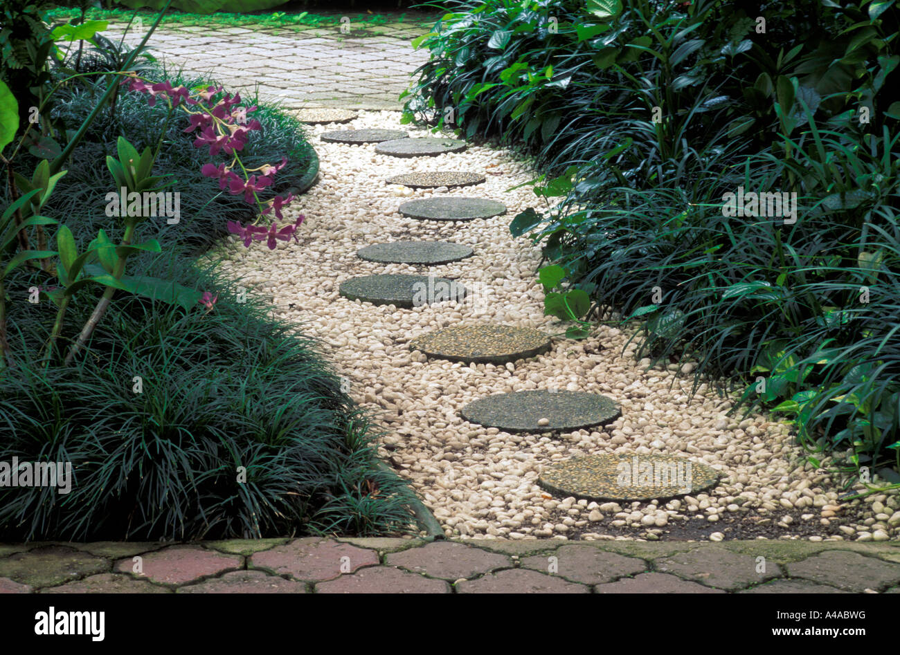 Path in a garden Stock Photo