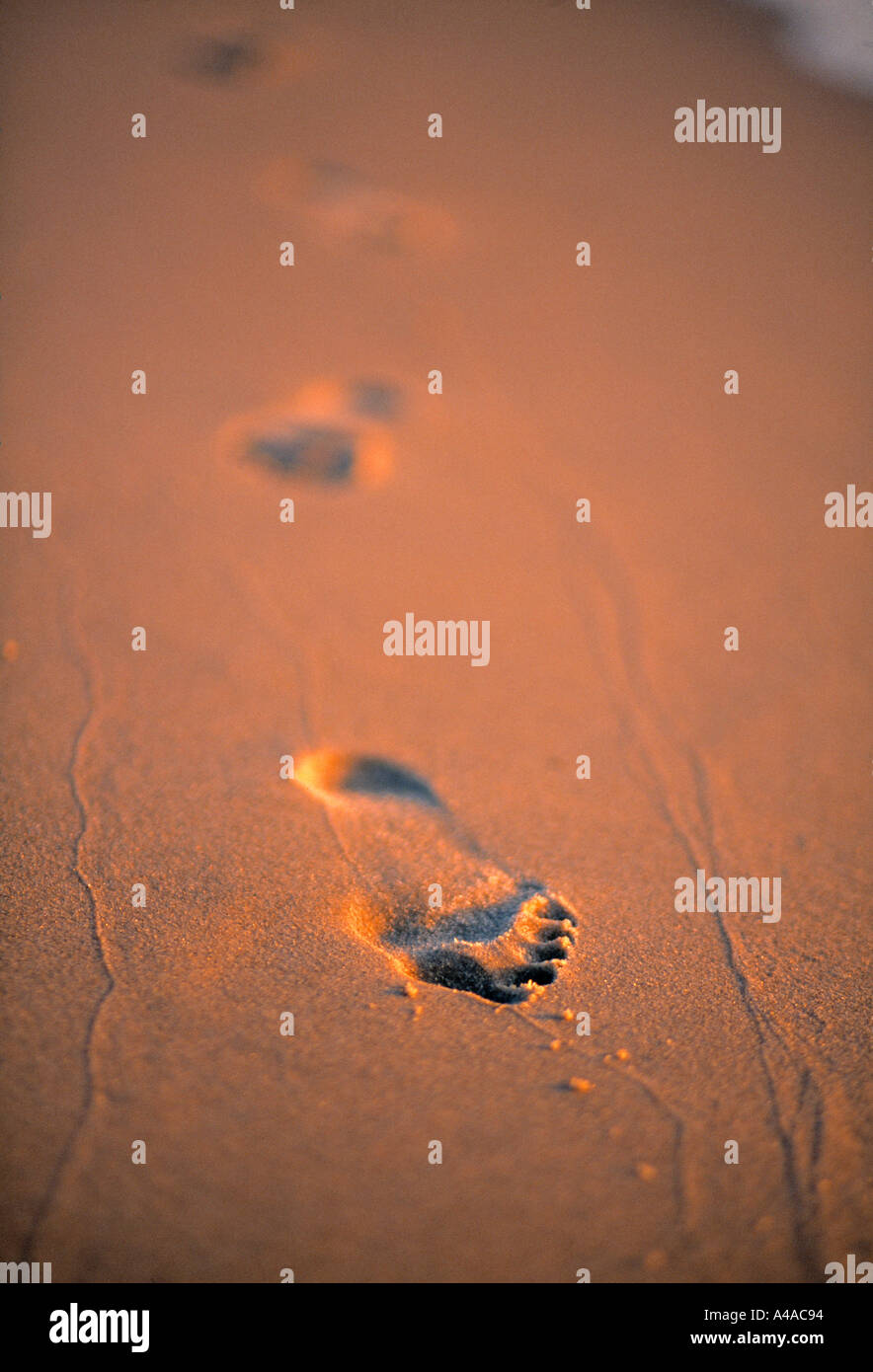 Footprints in the Sand Stock Photo