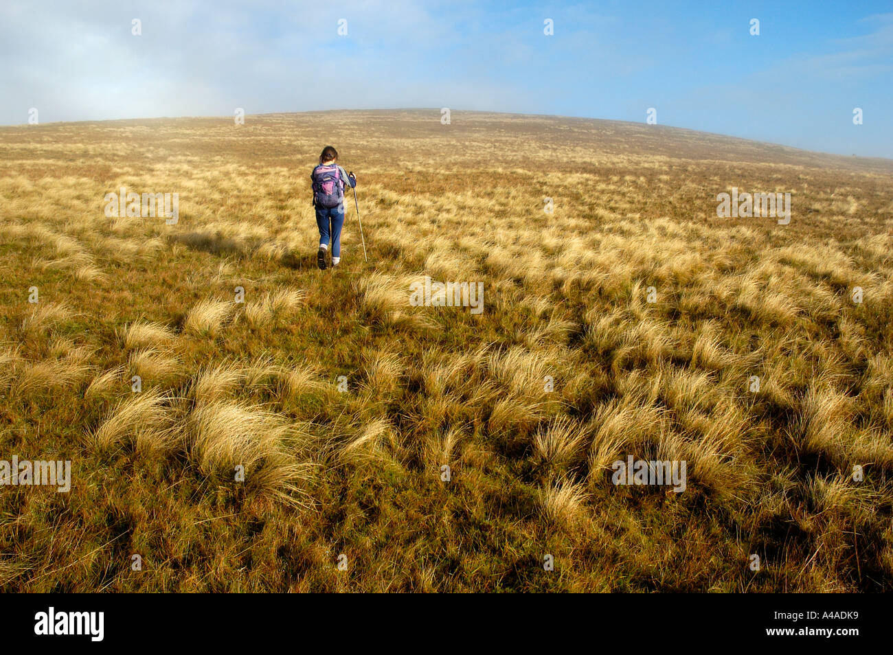 walker Bowscale Fell Lake District Stock Photo