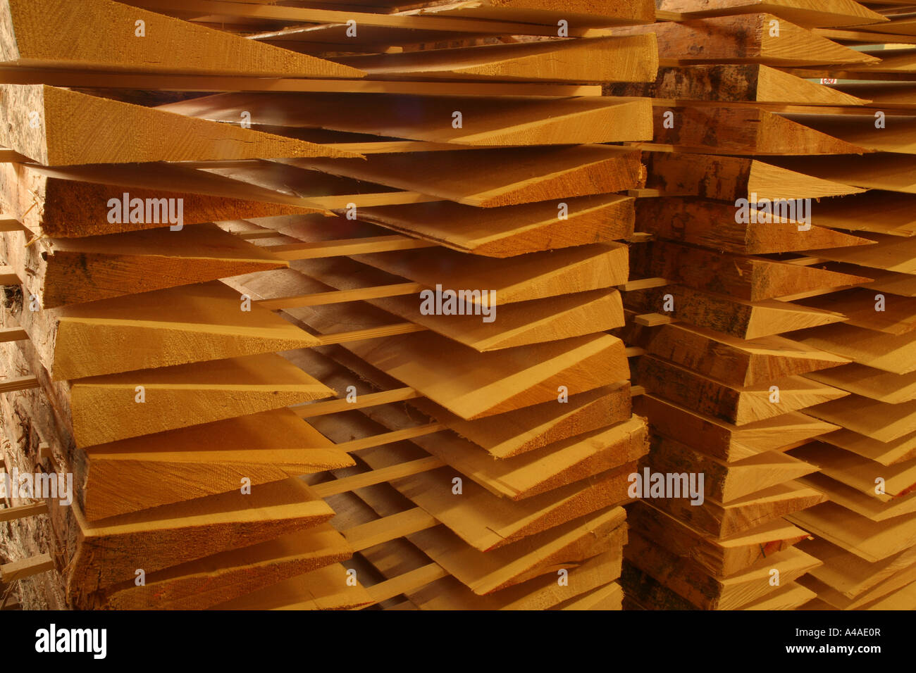 Pinewood storage for making lutes Ciresa industry Tesero Trentino Alto Adige Italy Stock Photo