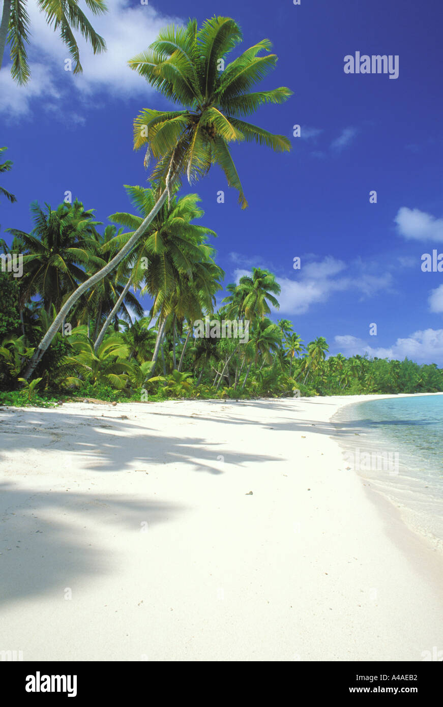 Tropical beach scene in the South Pacific Ocean Stock Photo