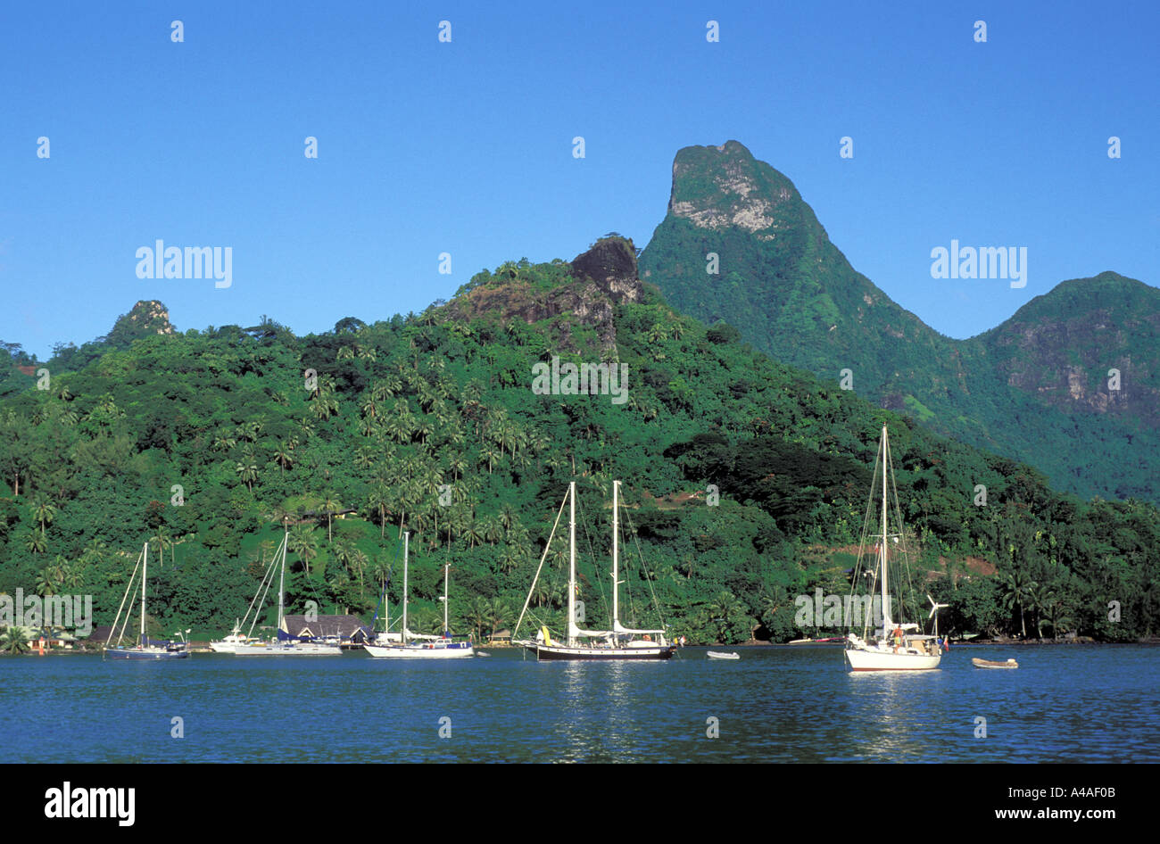 Sailboats anchored at the island of Moorea in Tahiti south Pacific Ocean Stock Photo