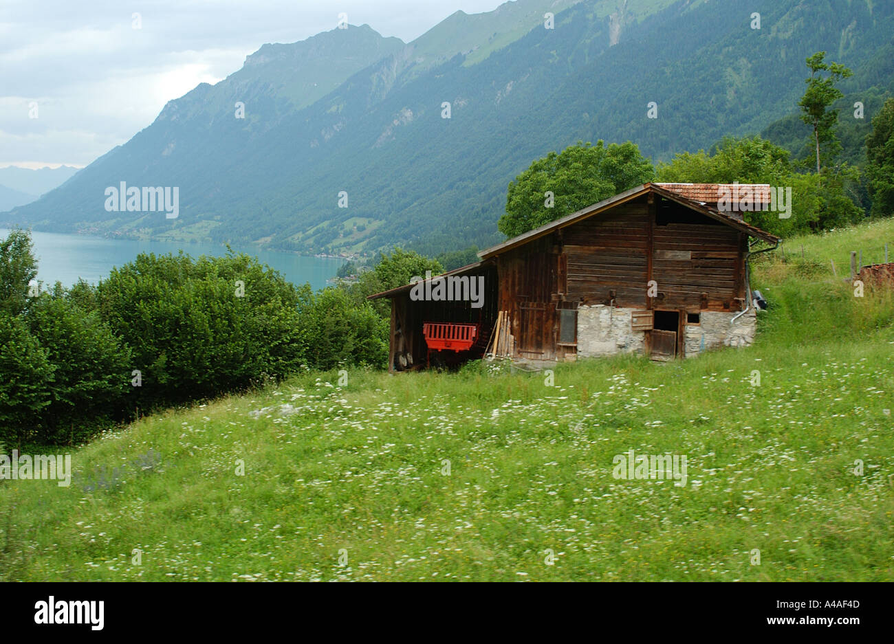 View towards Lake Brienz in Interlaken Switzerland with an old chalet ...