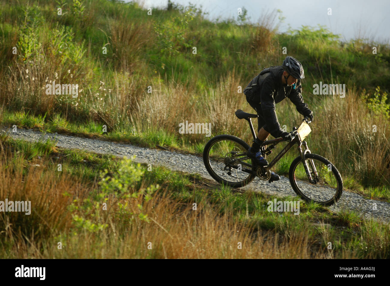 Mountain biker racing in Fort William 
