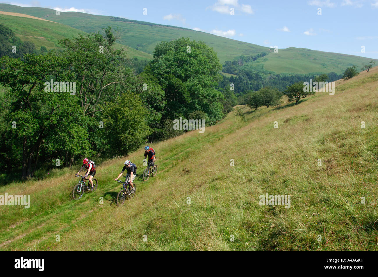drumlanrig mountain biking