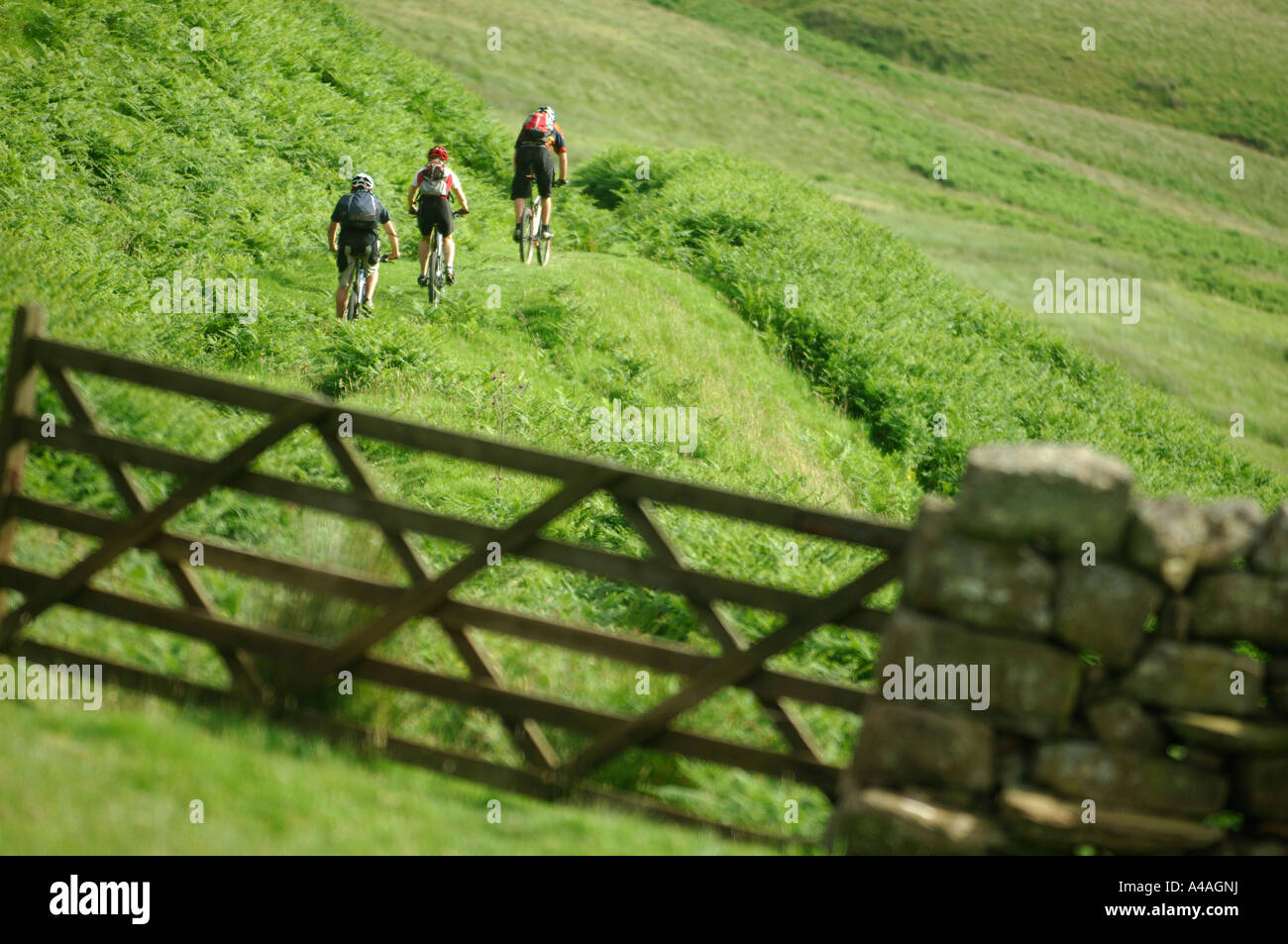 drumlanrig mountain biking
