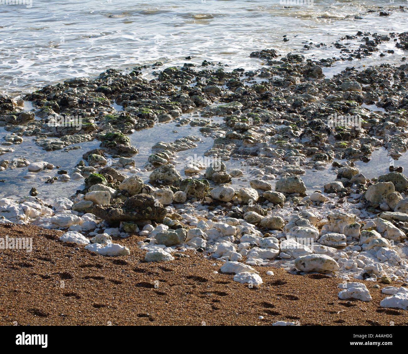 Abstract close up view of the Chalk bolders and shingle beach at Cuckmere Haven East Sussex UK Stock Photo