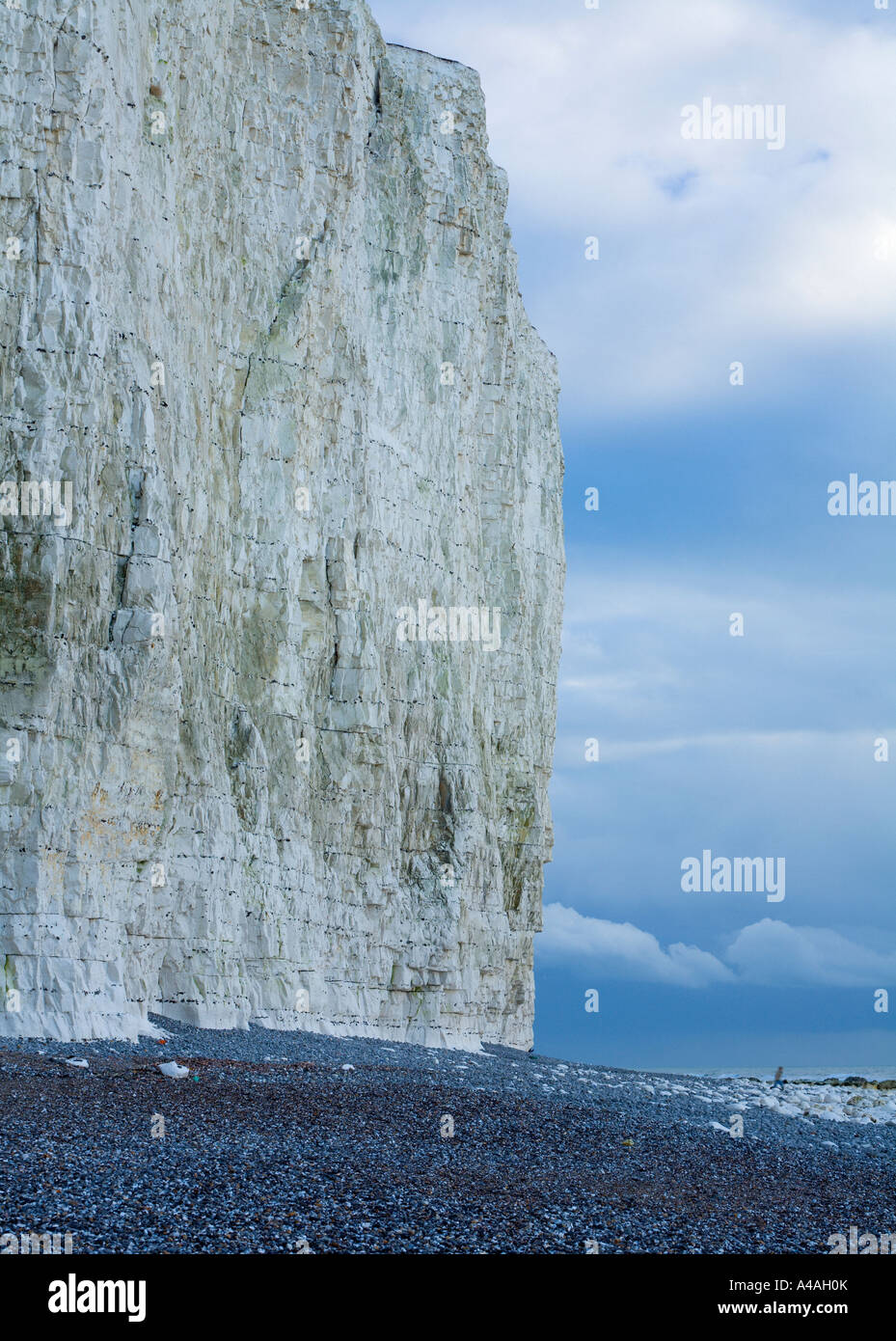 The tall sheer chalk cliffs at Birling Gap in moody overcast light The