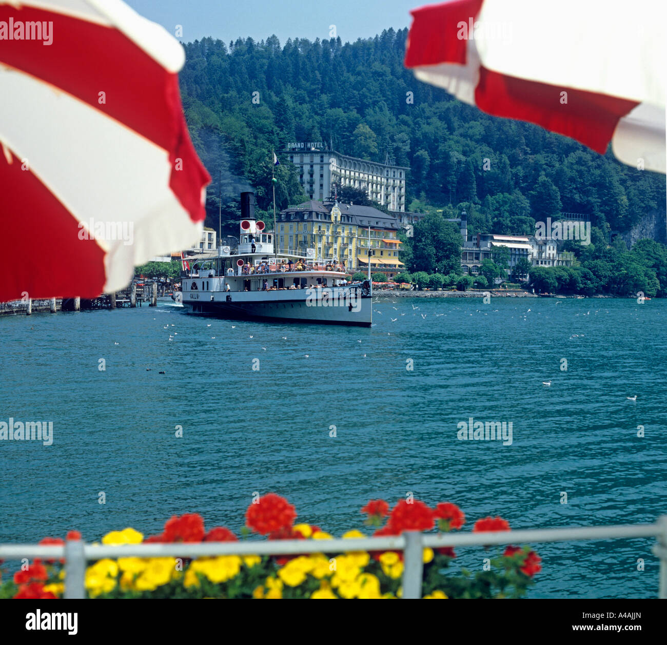 Old paddle steamers Lake Lucerne Stock Photo Alamy
