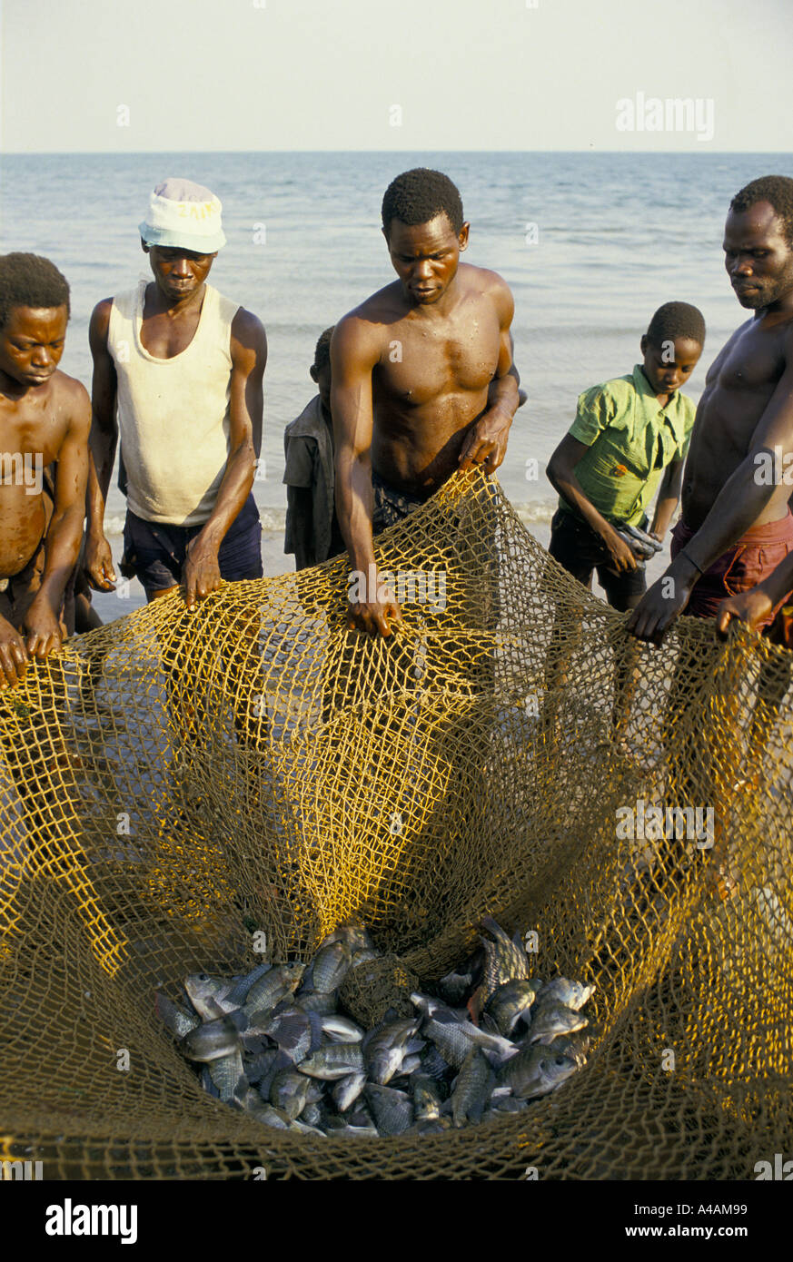 fishing industry uganda Stock Photo Alamy