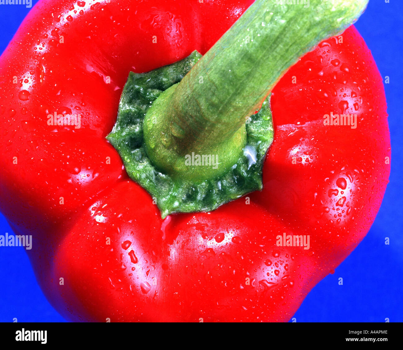 RGB CONCEPT: Red Chilli Pepper Stock Photo - Alamy