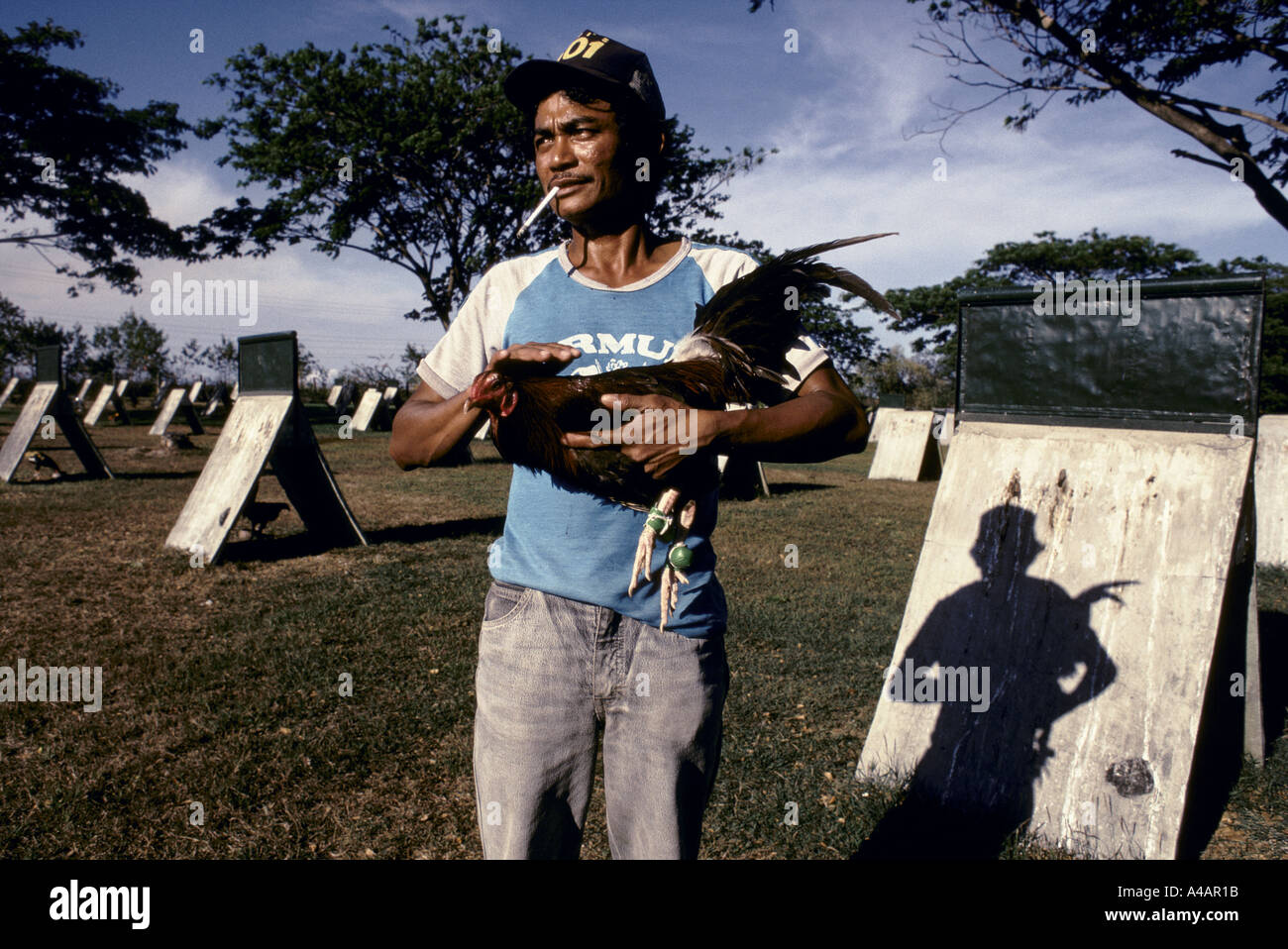 Philippines - A fighting cock keeper with a prize fighter. The ...