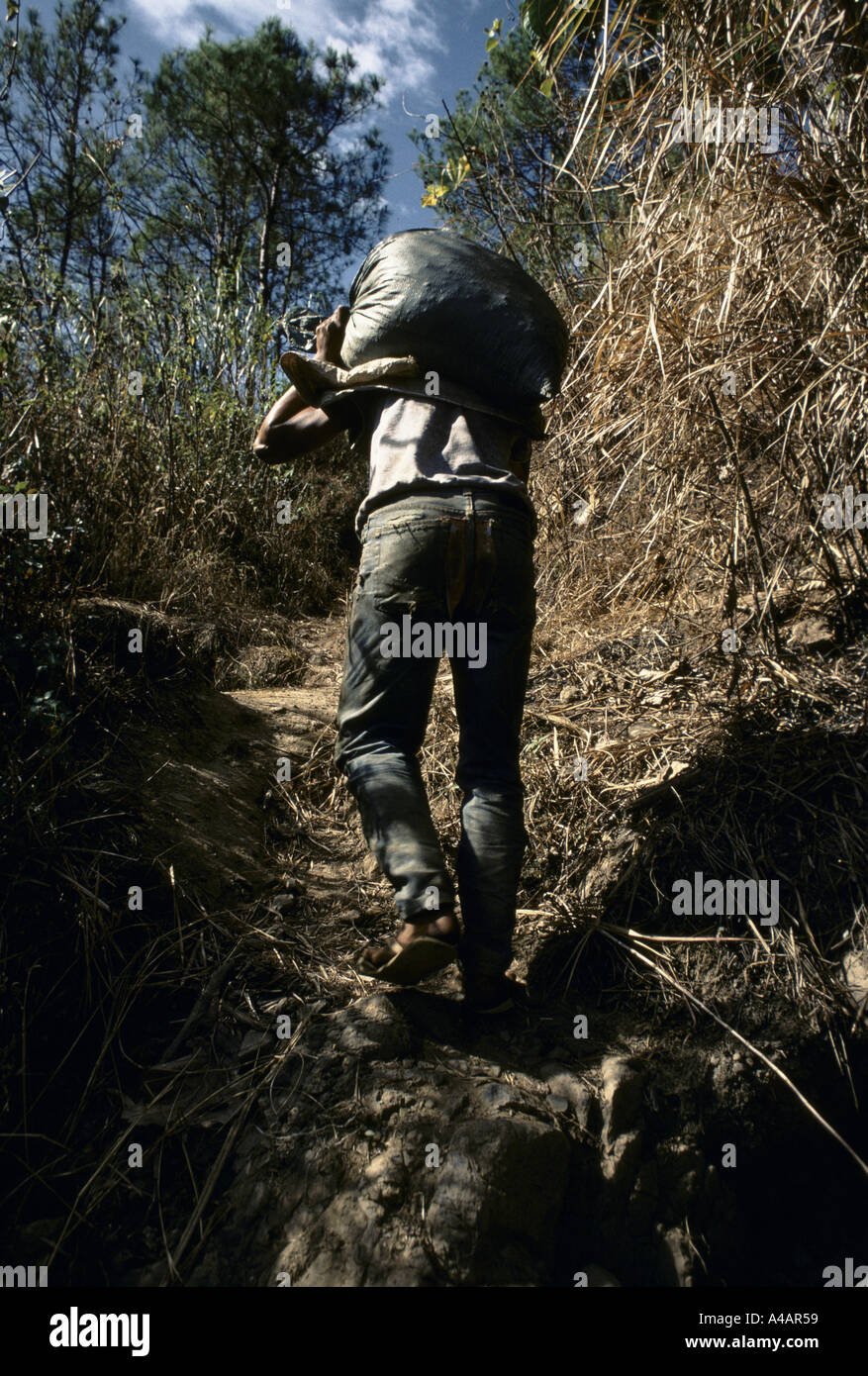 Cordillera Mountains, Philippines, Feb 1991:  a pocket or small scale miner carrying a sack of old ore on his back . Stock Photo