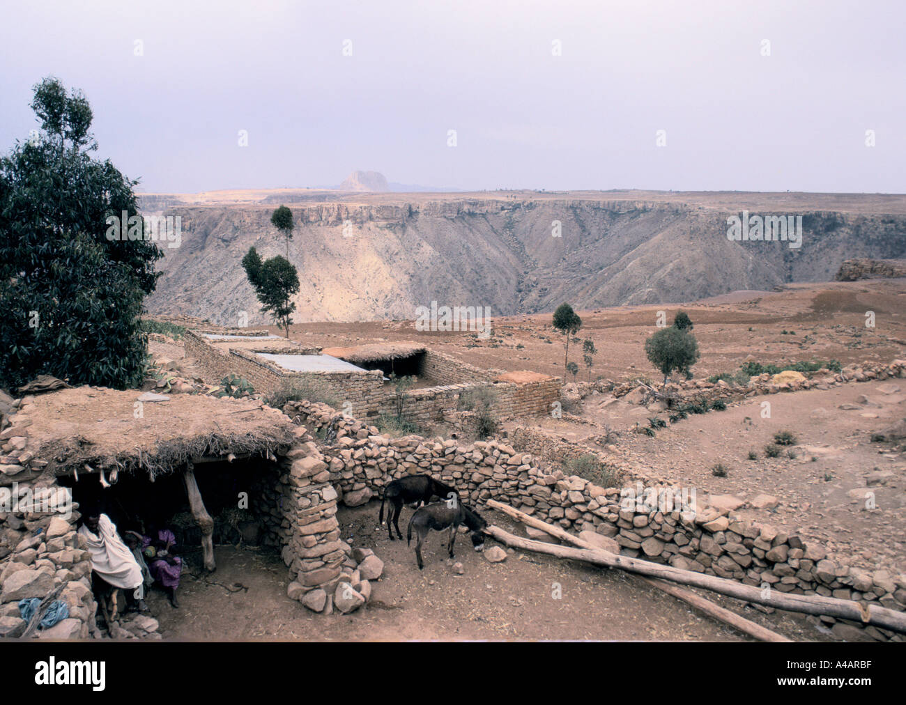 MESHAL, ERITREA YARD OF GABREMARIAM GOYTEM'S HOUSE, 1991 Stock Photo