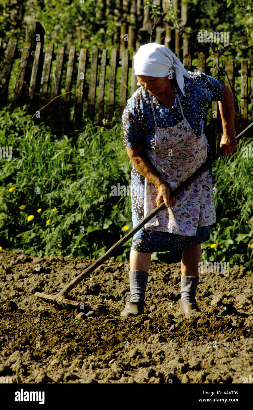 rural life near zagorsk woman cultivates in her field 1990 Stock Photo