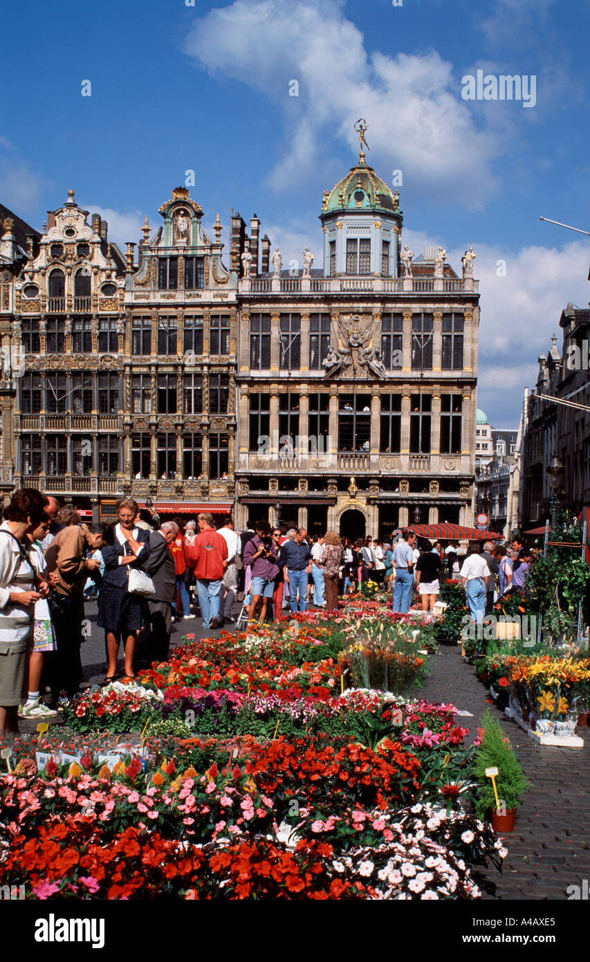 Flower Market, Grand Place, Brussels, Belgium Stock Photo Alamy
