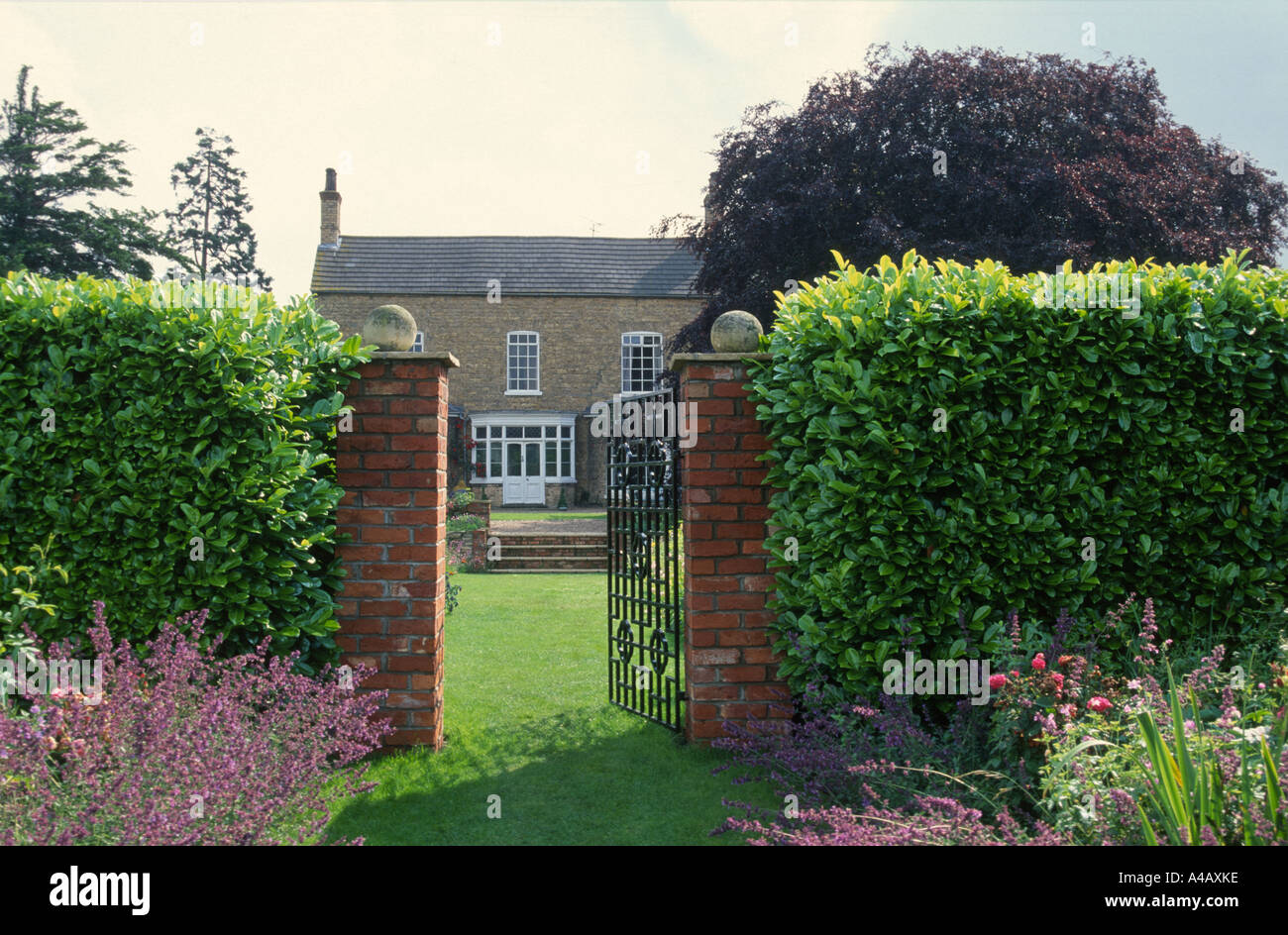 gateway through beech hedge leading across lawn to large house Stock Photo