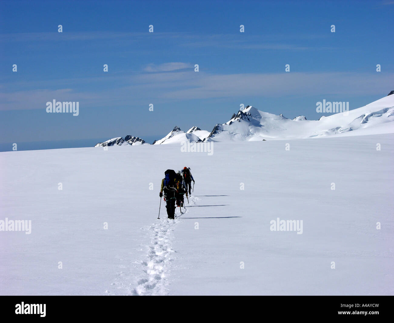 Roped up climbers pass over a snow plateau in New Zealands Southern Alps Stock Photo