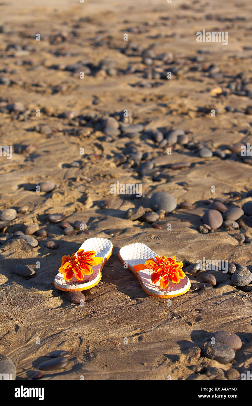 ladies flip flops on a beach Stock Photo - Alamy