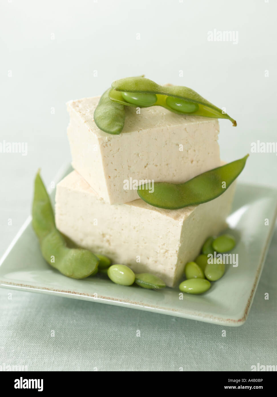 Tofu and Fresh Soy Beans Stock Photo Alamy