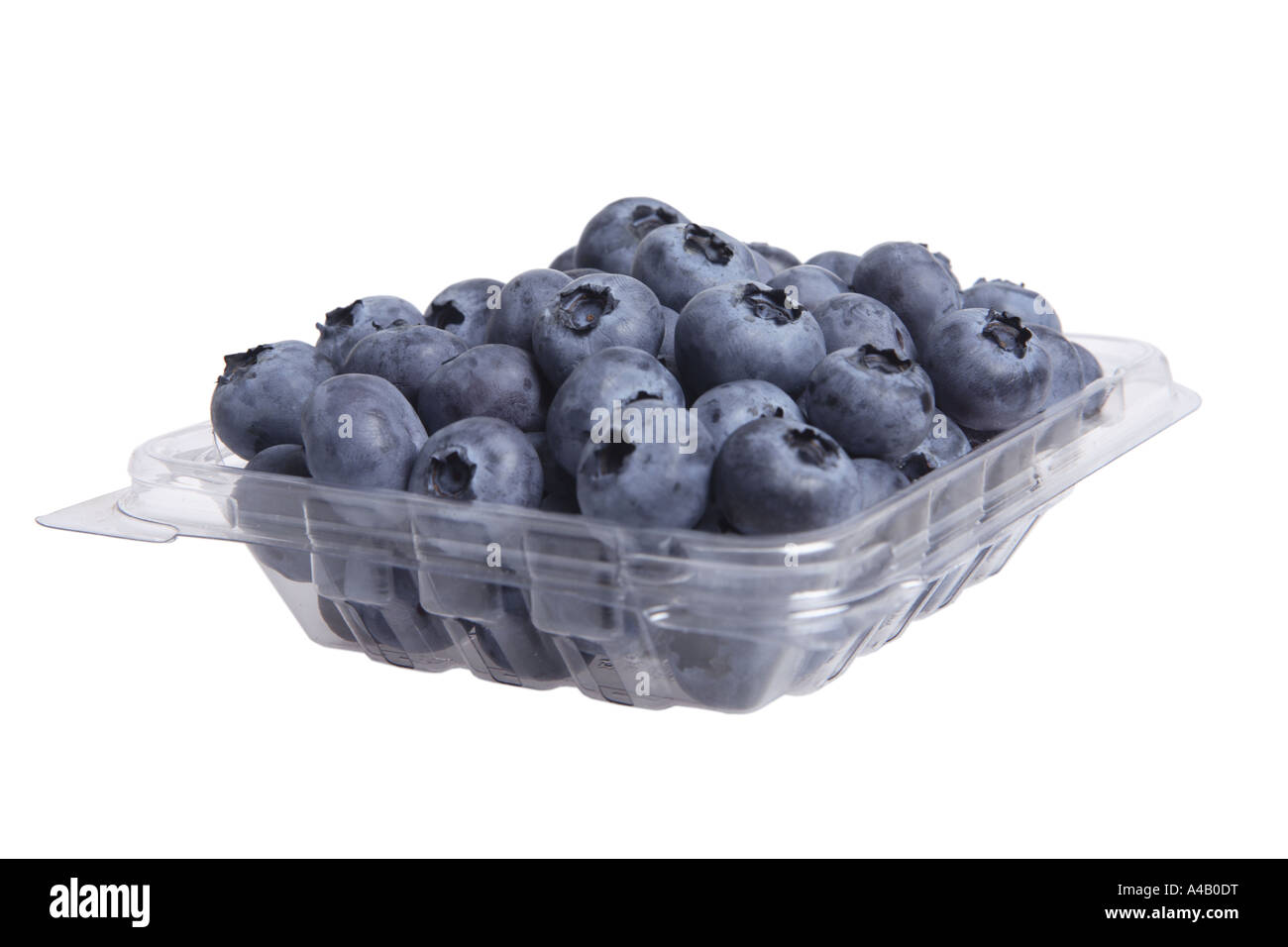 Download Blueberries In Plastic Container Cut Out On White Background Stock Photo Alamy Yellowimages Mockups