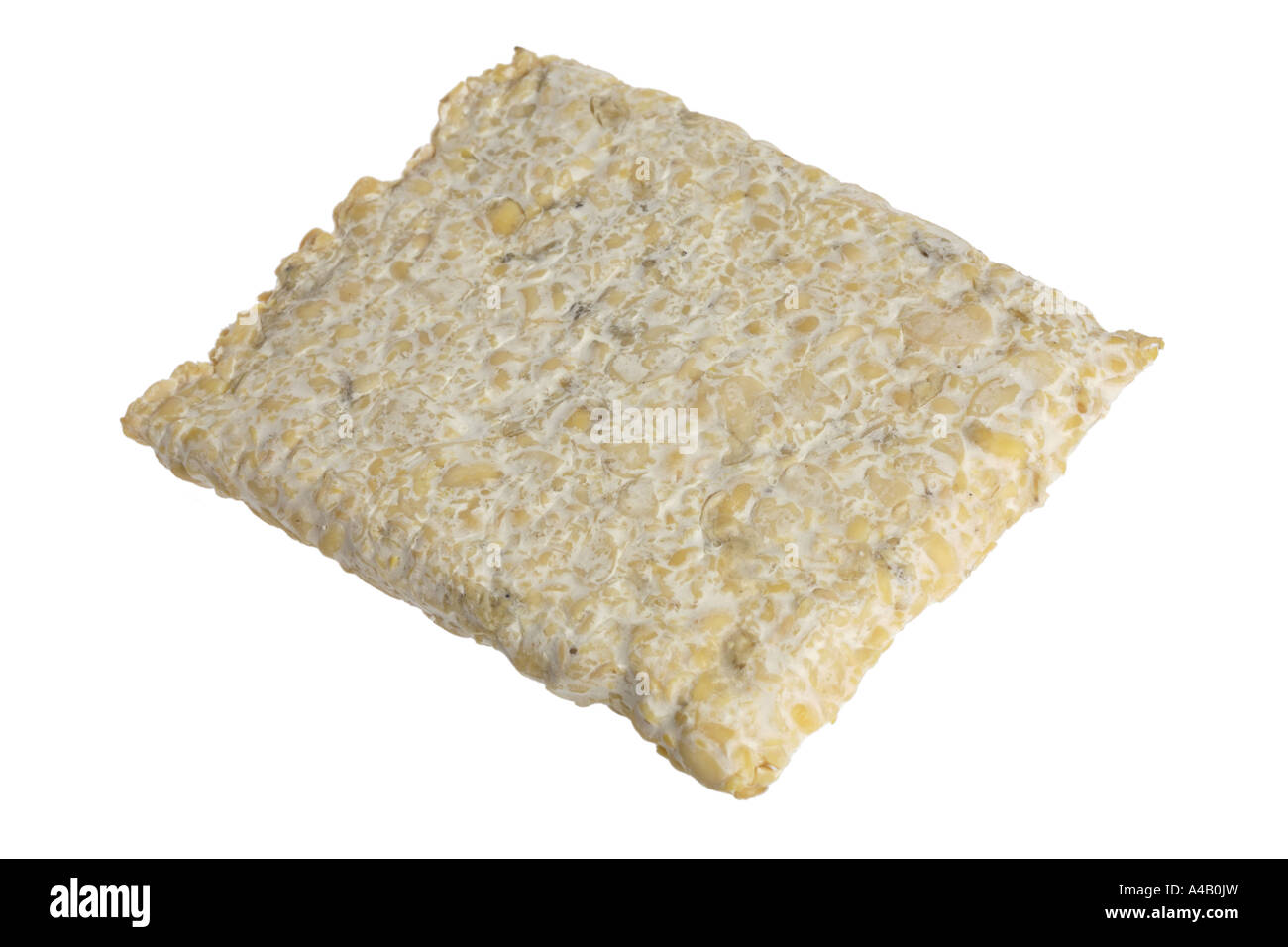 Tempeh cut out on white background Stock Photo Alamy