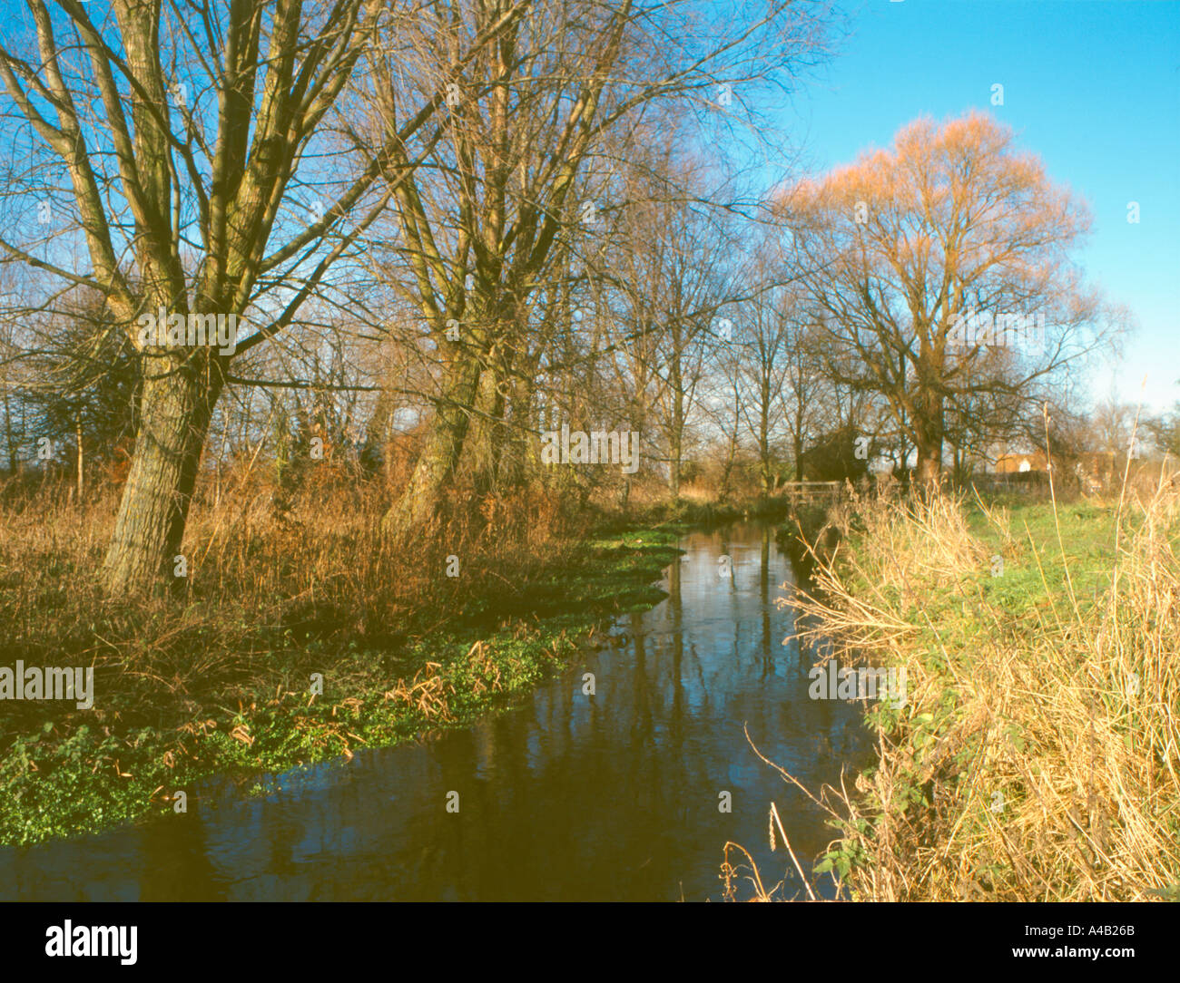 Letcombe Brook East Hanney Oxfordshire England Stock Photo