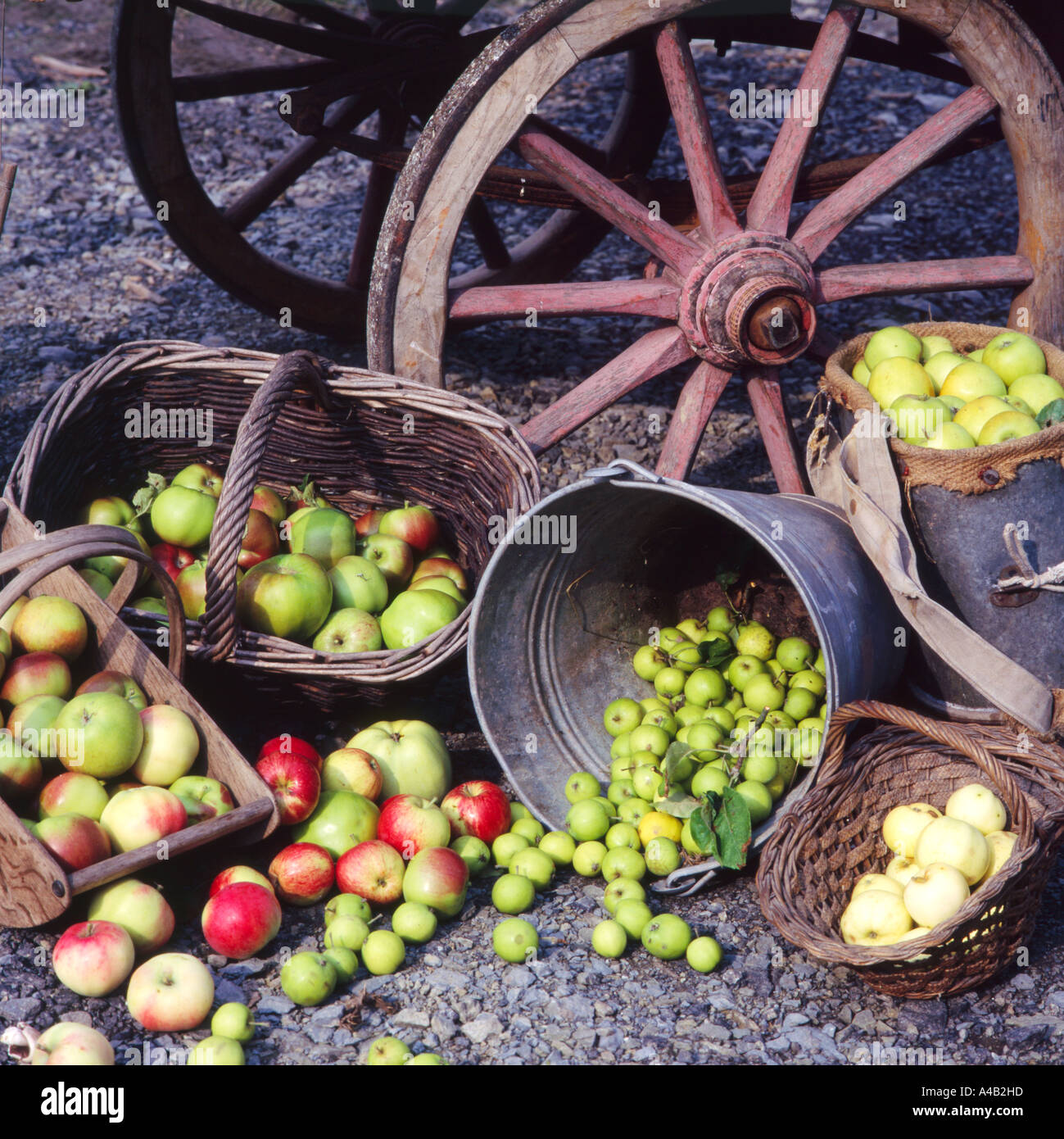apple cart with fruit spilling from baskets Stock Photo Alamy