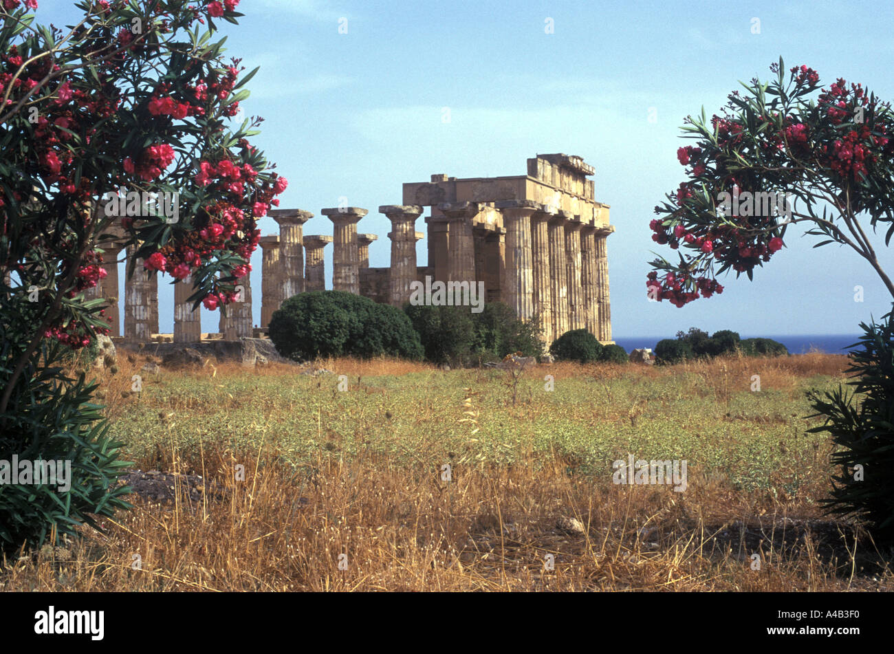 Greek Temple at Selinunte Sicily, Italy Stock Photo