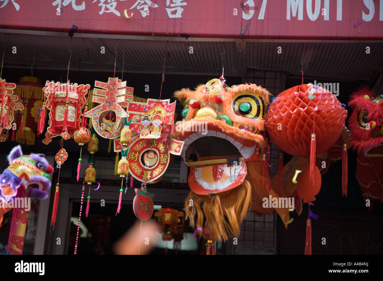 when is chinese new year nyc 2025