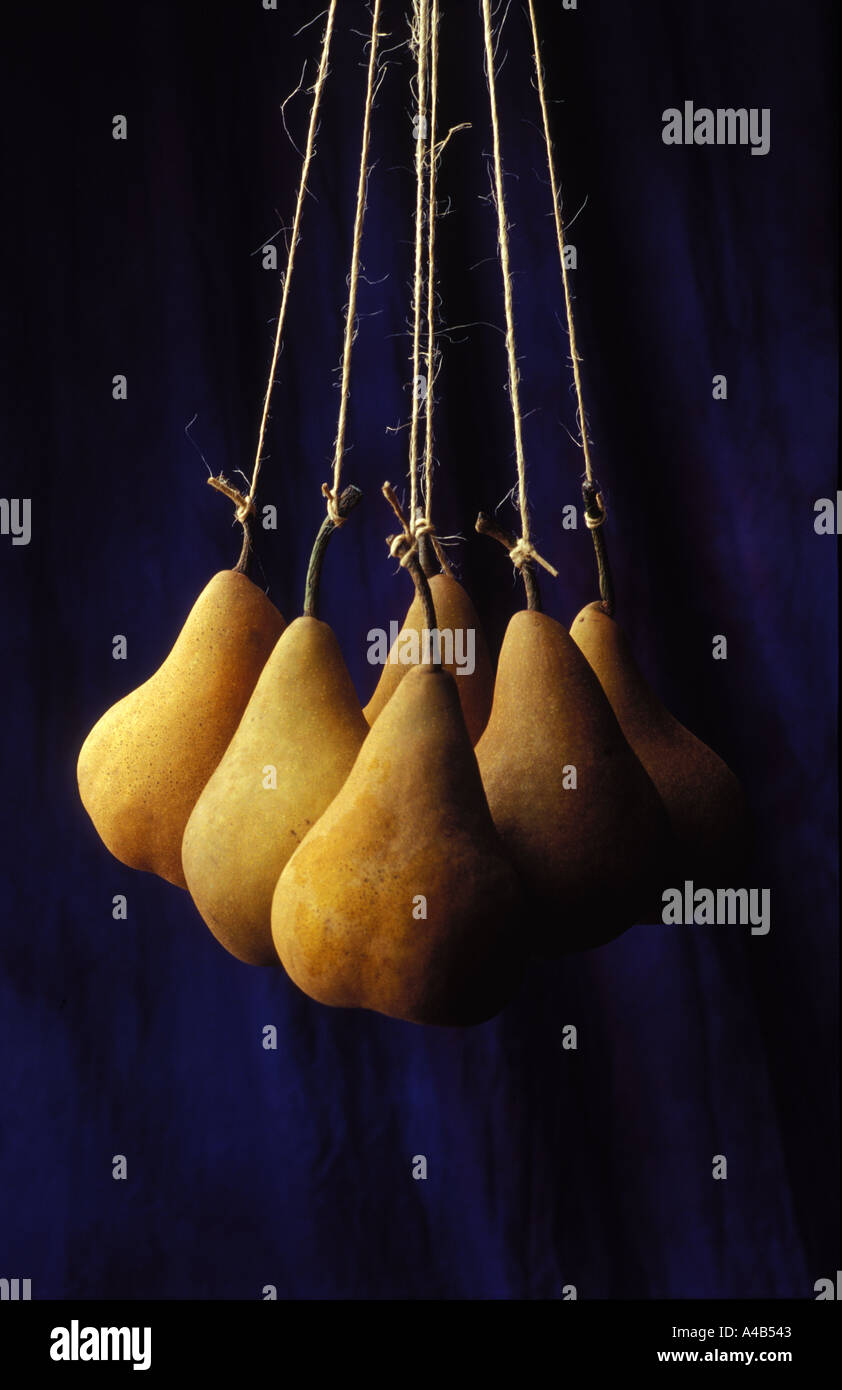 pears hanging from string Stock Photo Alamy