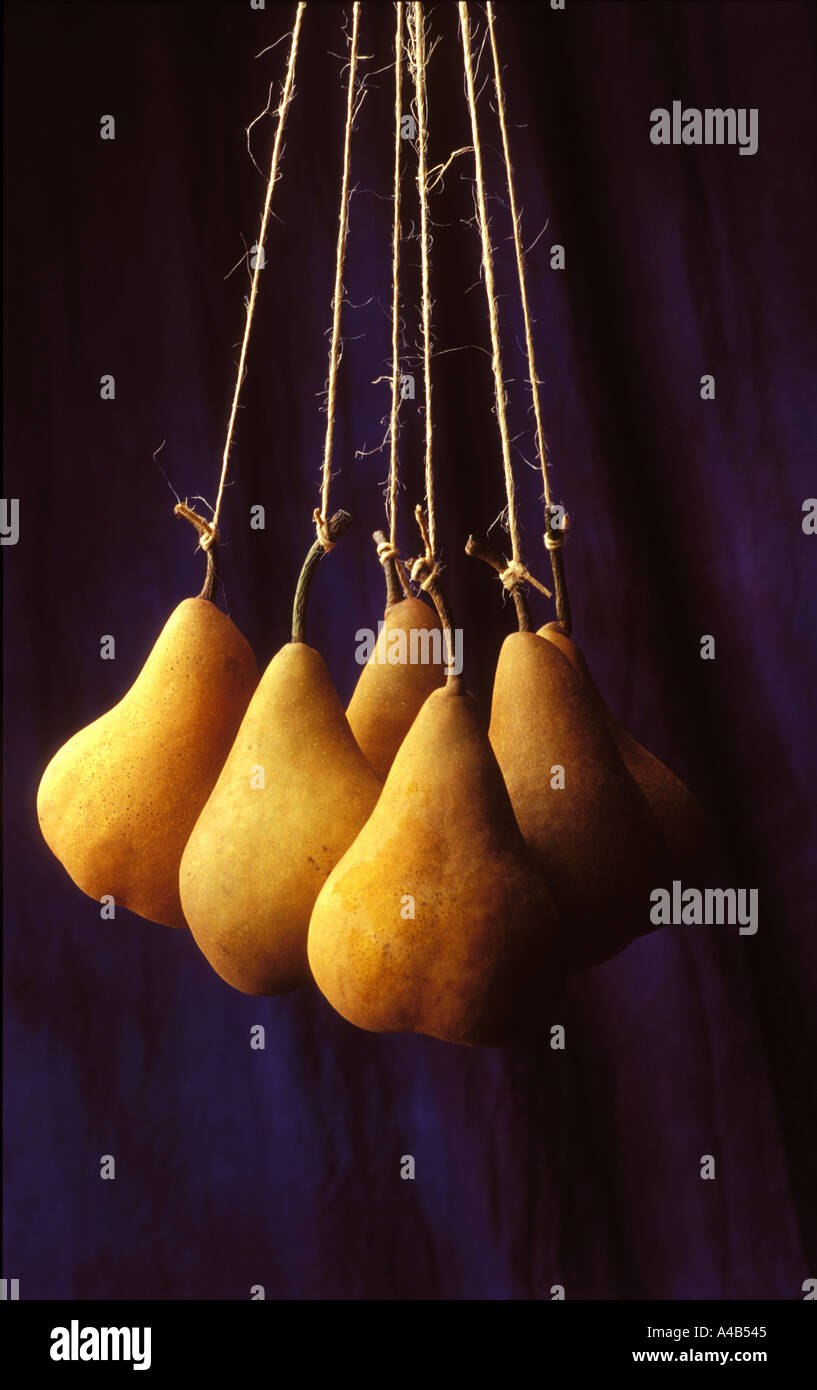 pears hanging from string Stock Photo Alamy