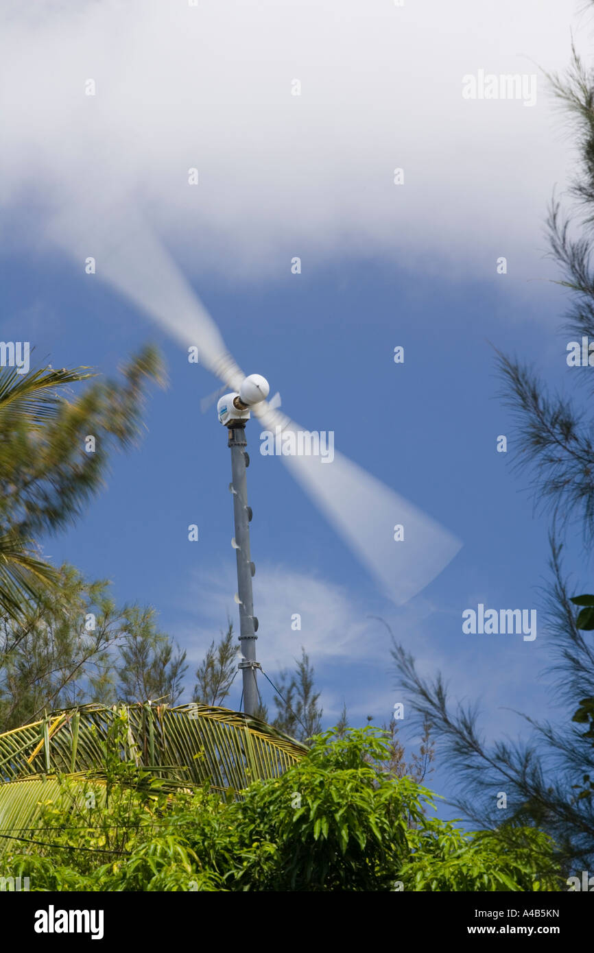Wind-powered electricity-generator in