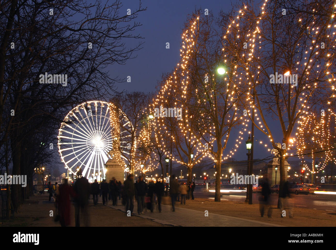 the avenue christmas lights decoratingspecial com the avenue christmas lights decoratingspecial com