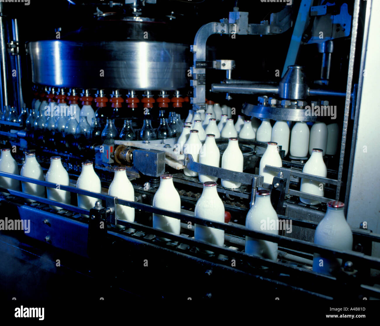 Milk bottling plant, England, UK Stock Photo Alamy