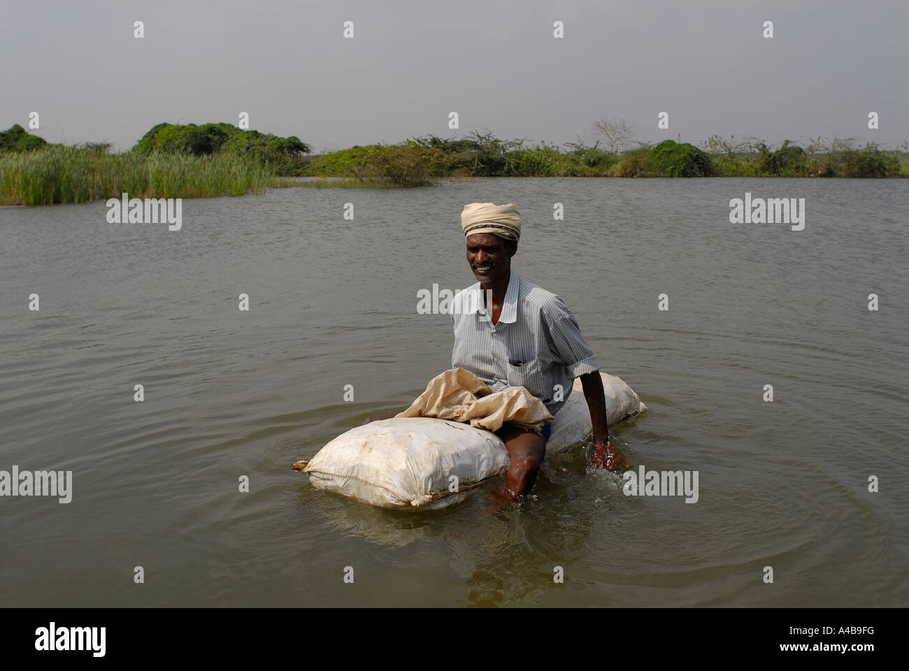 Chennai tribal village hi-res stock photography and images - Alamy