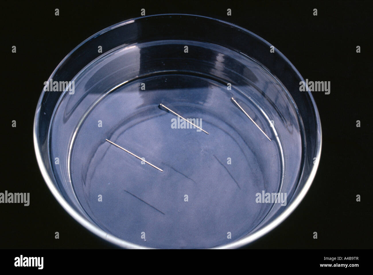 Floating needles Stock Photo Alamy