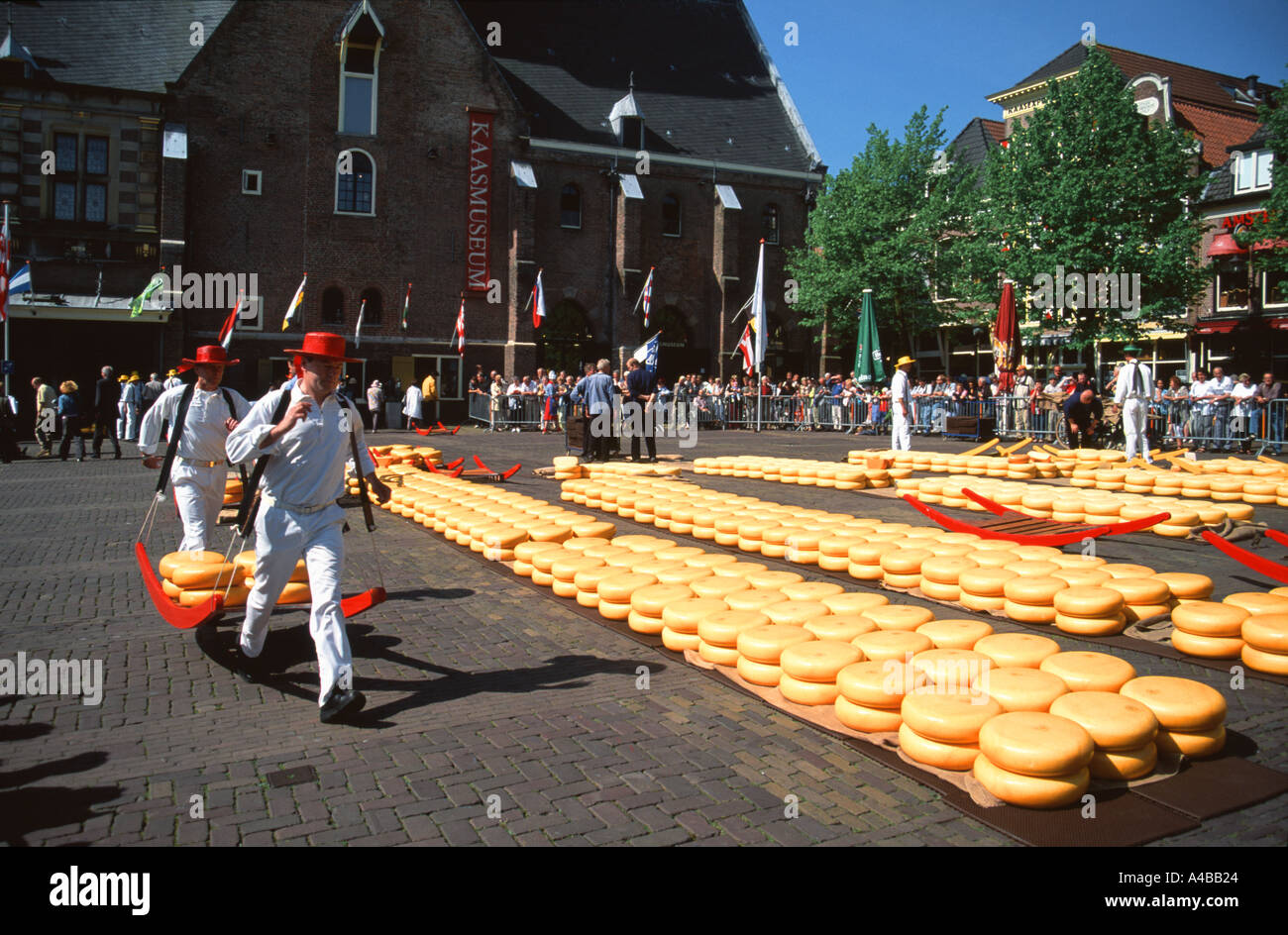 Cheese Porters at Alkmaar Cheese Market Noord Holland Netherlands Stock