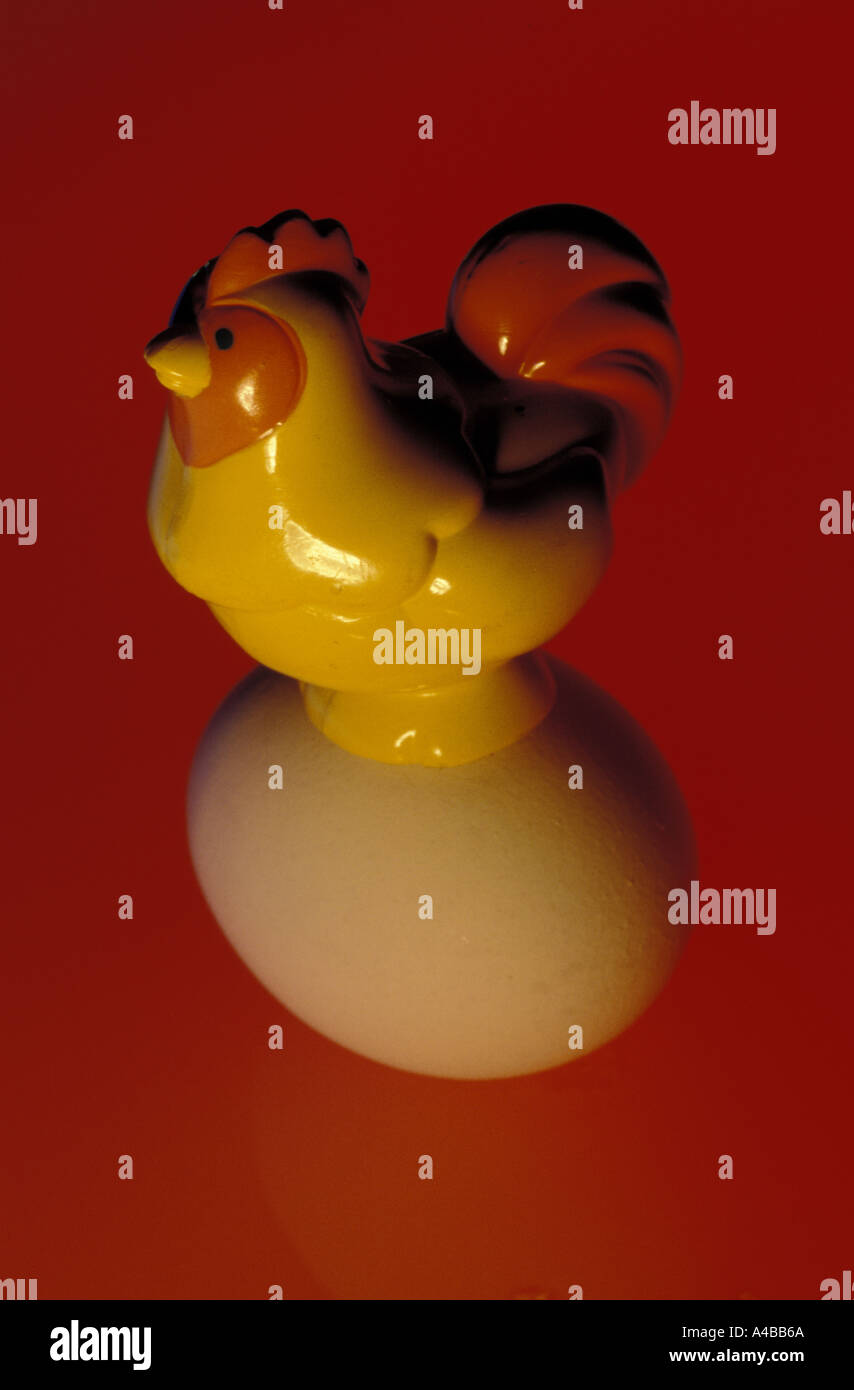 Which came first the chicken or the egg Stock Photo Alamy