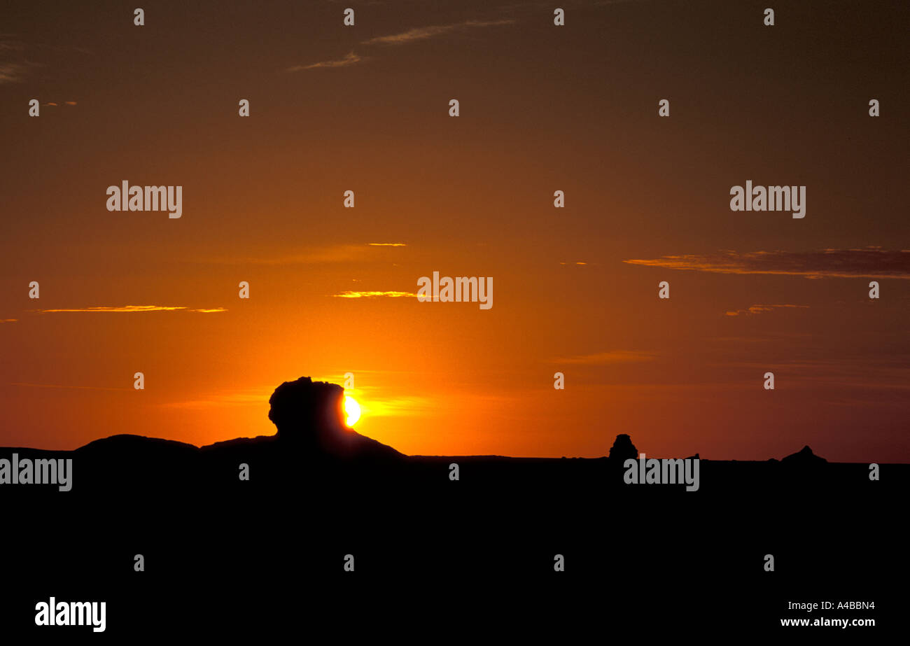 Lost in desert dying thirst hires stock photography and images Alamy