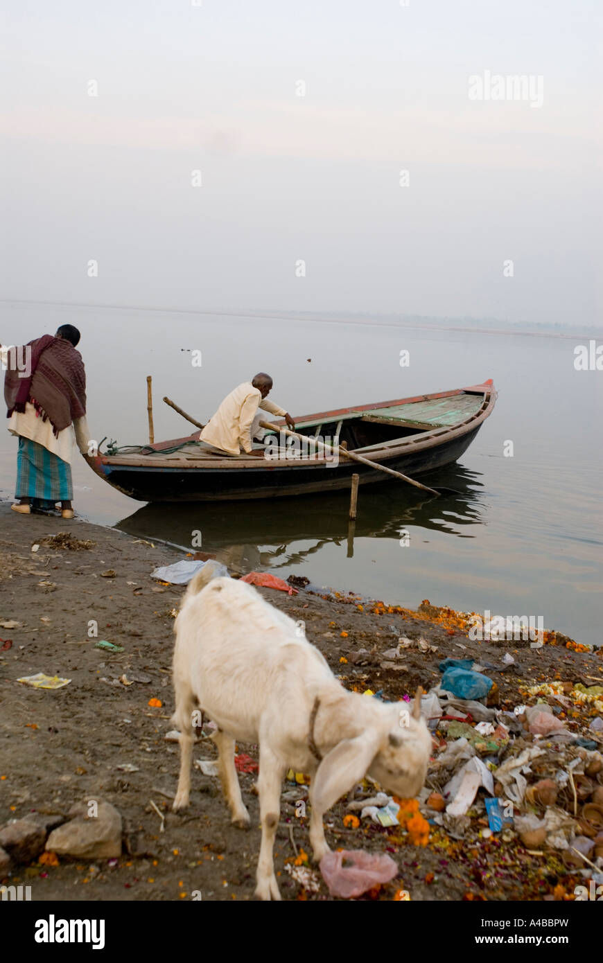 Goat garbage boat hires stock photography and images Alamy