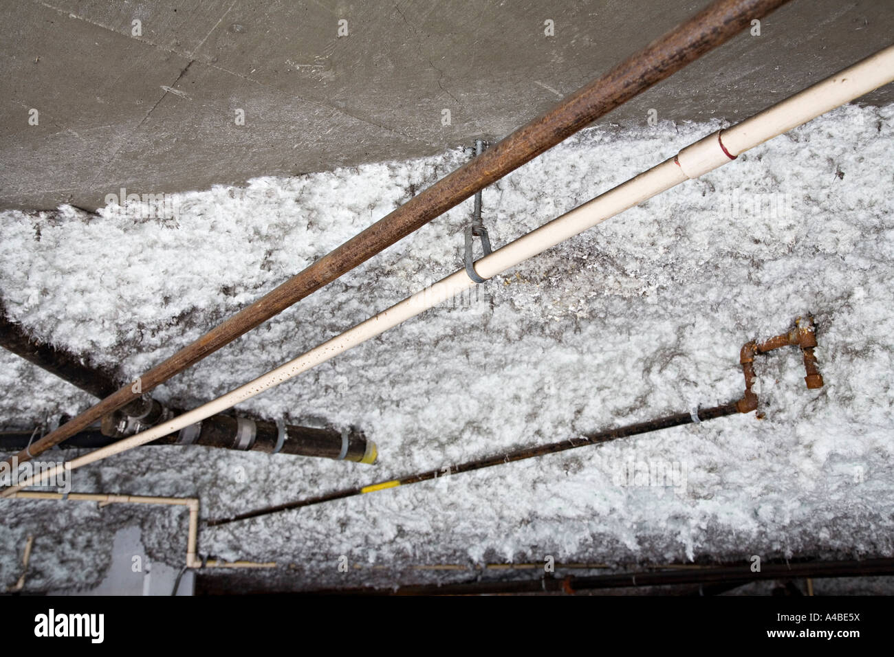 Efflorescence from concrete garage roof appearing like cotton wool