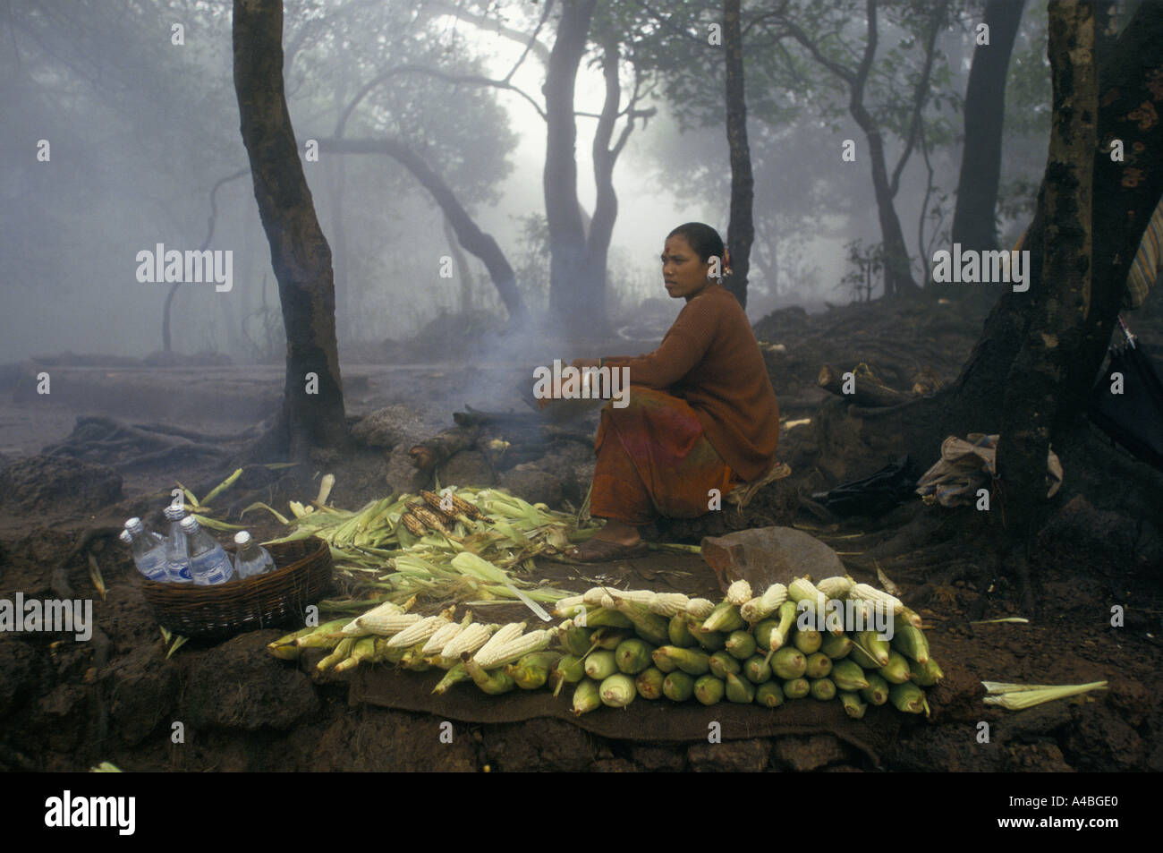 Visiting Assam In Monsoon: Discover the Enchanting Beauty Visiting Assam In Monsoon: Discover the Enchanting Beauty