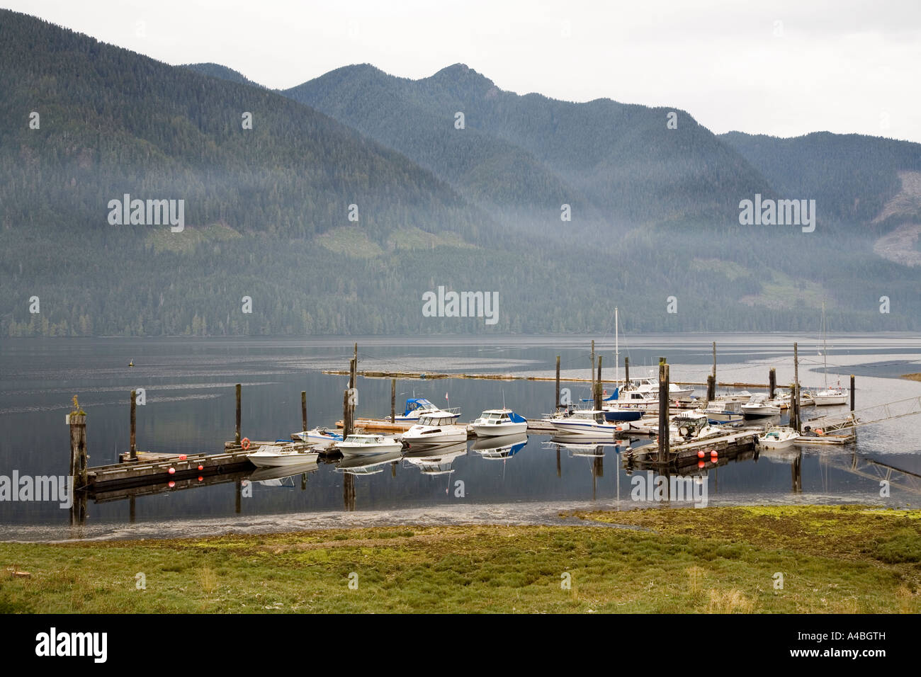 Harbour at Port Alice on the west coast of Vancouver island with early morning mist Canada Stock Photo