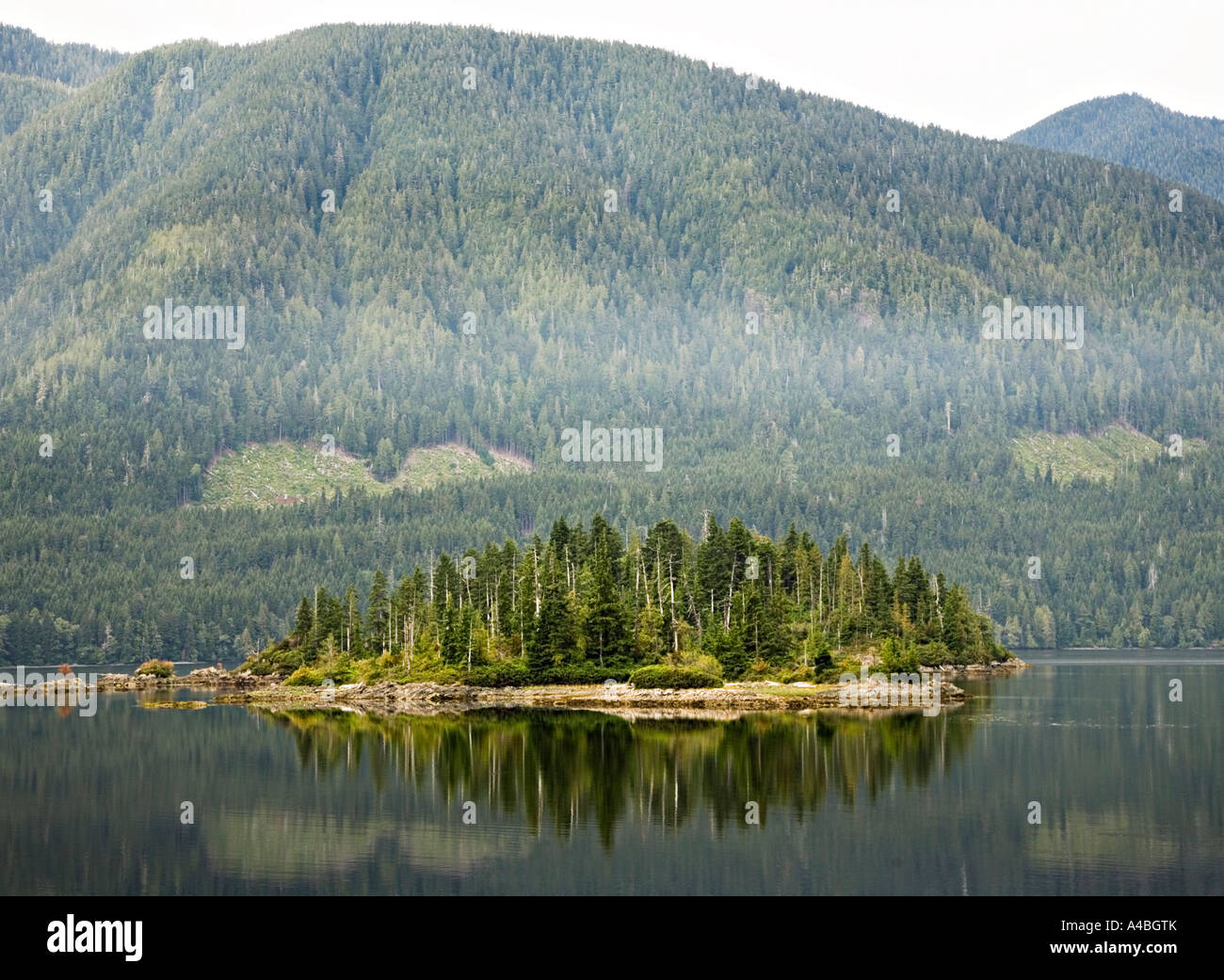 Misty scene in early morning at Port Alice on west coast Vancouver island Canada Stock Photo
