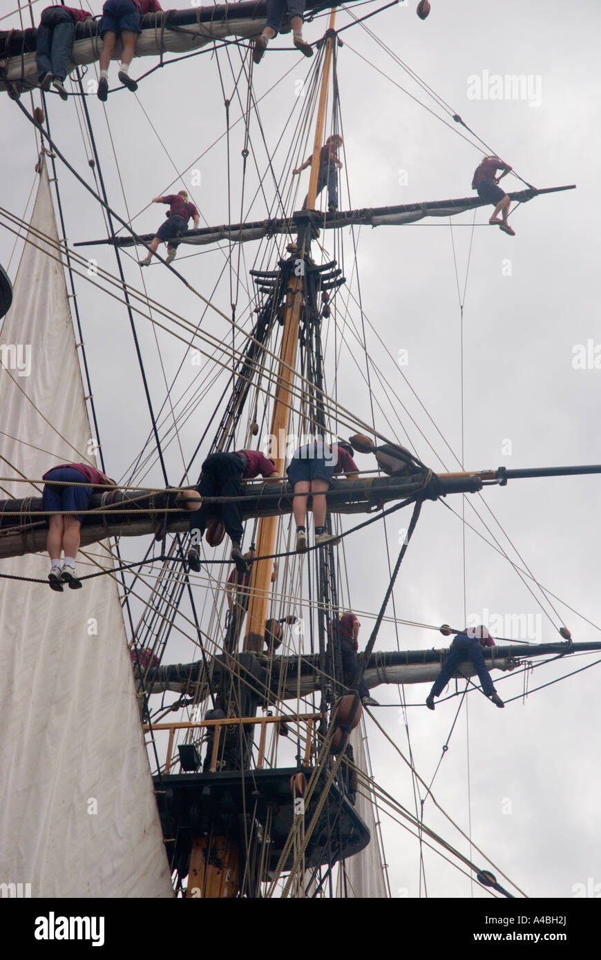 Ship s crew aloft in the rigging of a square rigged ship under sail